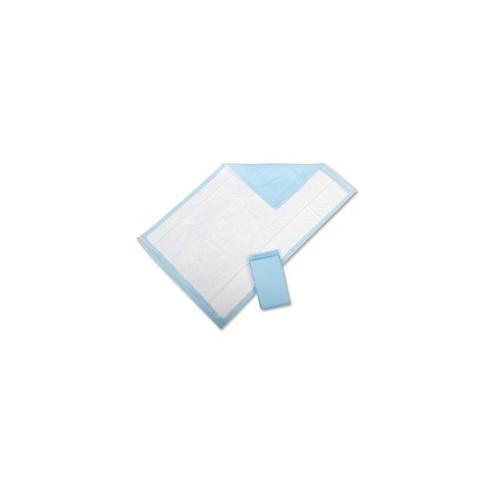 Protection Plus Disposable Underpads - 25 / Pack - Light Blue