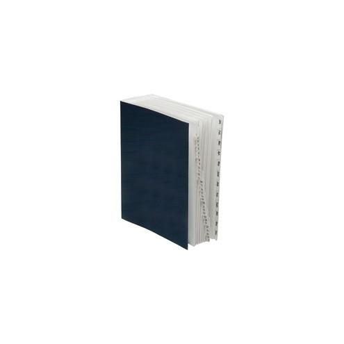 SKILCRAFT Daily/Monthly Expanding Desk File Sorter - Desktop - Recycled - Blue, Clear Exterior, Interior - Acrylic - 1Each