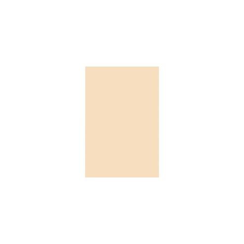 Pacon Tagboard - Craft, Art - 12" x 18" - 100 / Pack - Manila