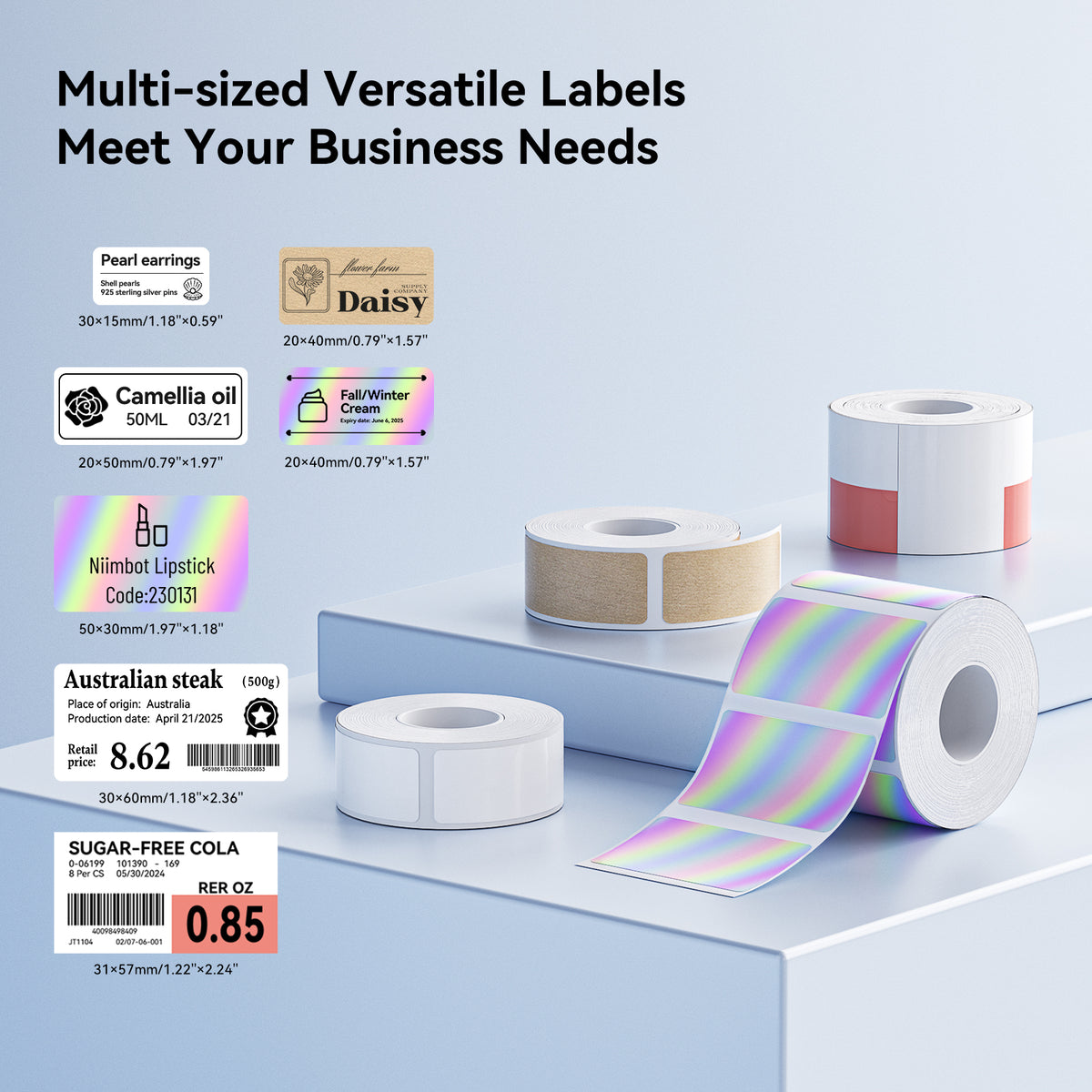 Regular Label Trend File 'N Save System Trimmer Storage Box - External Dimensions: 3 ...