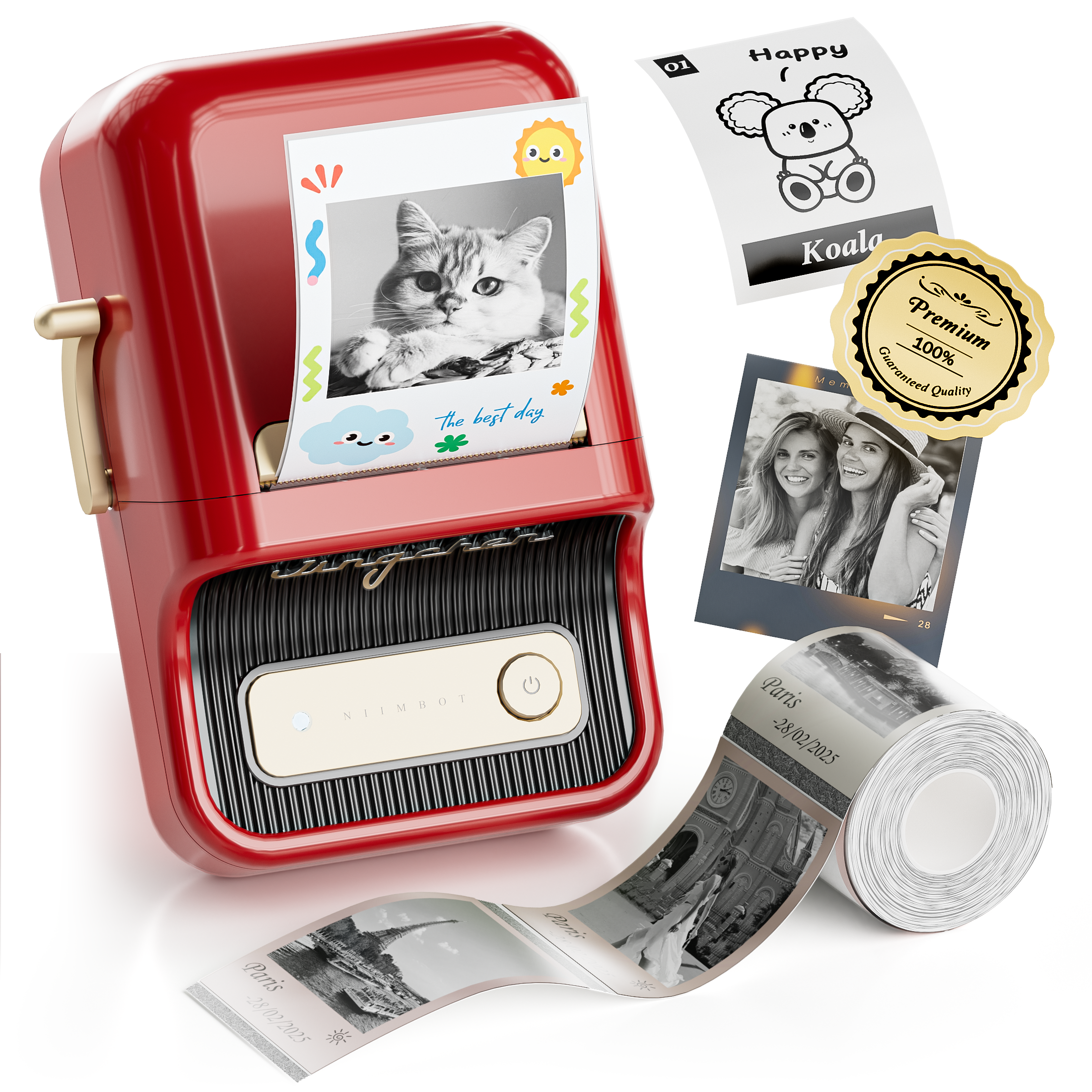 NIIMBOT B21 Pro HD Photo Printer Label Maker, 300DPI HD Label Printer, Ideal for Notes,Photos, Study Graphics, Memo Maker