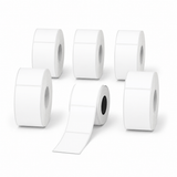NIIMBOT 25 × 76 mm White Direct Thermal Labels for B Series