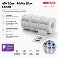 40×20 mm Silver Labels