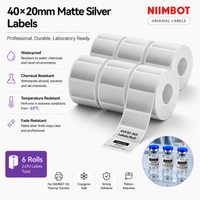 40×20 mm Silver Labels