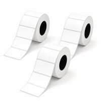 50 × 30 mm White Labels for NIIMBOT M2_H & M3, 225 Labels/Roll