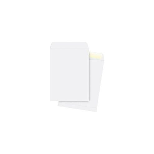 Business Source 28 lb. White Catalog Envelopes - Catalog - #13 1/2 - 10" Width x 13" Length - 28 lb - Gummed - Wove - 250 / Box - White