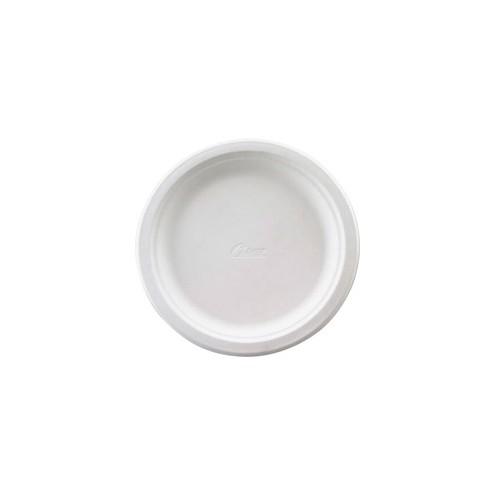 Chinet Premium Tableware Plates - 6.75" Diameter Plate - White - 125 Piece(s) / Pack