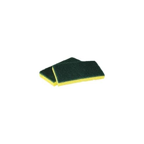 Impact Products Cellulose Scrubber Sponge - 0.9" Height x 3" Width x 6.3" Length - 40/Carton - Cellulose - Yellow, Green