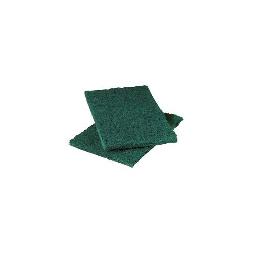 Scotch-Brite Heavy-Duty Scouring Pad - 9.6" Height x 6" Width x 9" Depth - 36/Carton - Synthetic Fiber, Resin? - Green