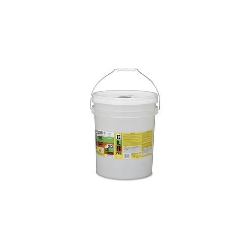 SKILCRAFT Calcium Lime Remover 5-Gal Pail - Liquid - 640 fl oz (20 quart) - 1 Each - Green