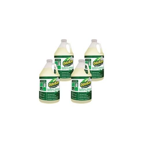 OdoBan Eucalyptus Multi-purp Cleaner Concentrate - Concentrate Liquid - 128 fl oz (4 quart) - Eucalyptus Scent - 4 / Carton - Green