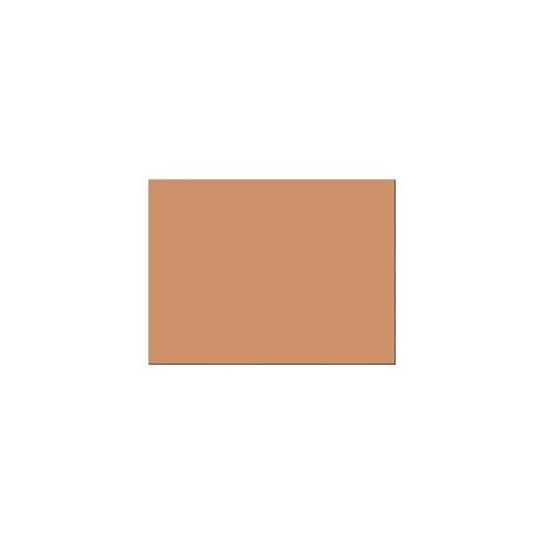 Tru-Ray Construction Paper - Bulletin Board - 18" x 24" - 50 / Pack - Tan - Sulphite