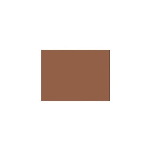 Tru-Ray Construction Paper - Bulletin Board - 18" x 24" - 50 / Pack - Warm Brown - Sulphite