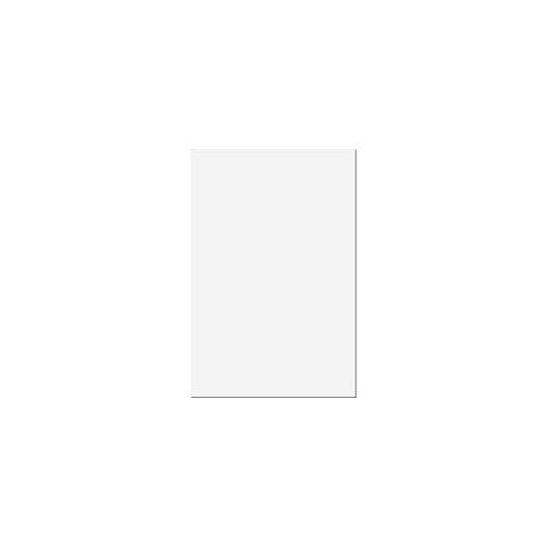 Riverside Construction Paper - Art Project, Craft Project - 36" x 24" - 1 Pack - White - Groundwood