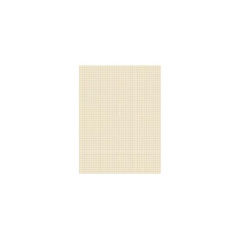 Pacon Drawing Paper - 500 Sheets - 0.25" Ruled - Unruled - 9" x 12" - Manila Paper - 500 / Pack