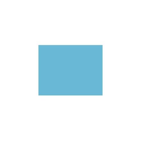 Pacon Railroad Board - Art Project, Mat, Painting, Marker, Poster, Stenciling, Block Printing, Mounting - 22" x 28"1" - 25 / Carton - Light Blue