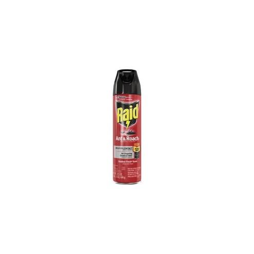 Raid Ant/Roach Killer Spray - Spray - Kills Ants, Cockroaches, Waterbug, Palmetto Bug, Silverfish, Carpet Beetle, Crickets, Earwig, Spider, Lady Beetle, Stink Bug, ... - 17.50 fl oz - Clear - 1 Each