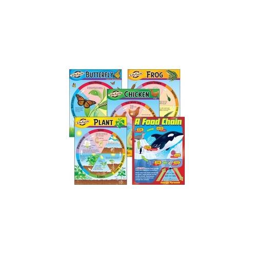 Trend Life Cycles Learning Charts Combo Pack - Theme/Subject: Learning - Skill Learning: Life Cycle - 5-9 Year