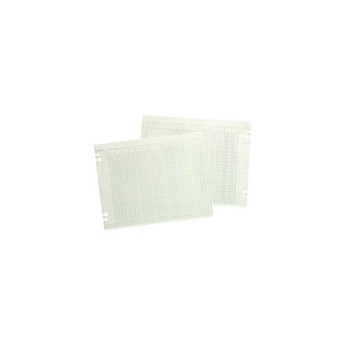 Wilson Jones 20-Column Ruled Sheets - 24 lb - Double Sided Sheet - 14" x 11" Sheet Size - 2 x Holes - 20 Columns per Sheet - Green Sheet(s) - Brown, Green Print Color - Paper - 100 / Pack